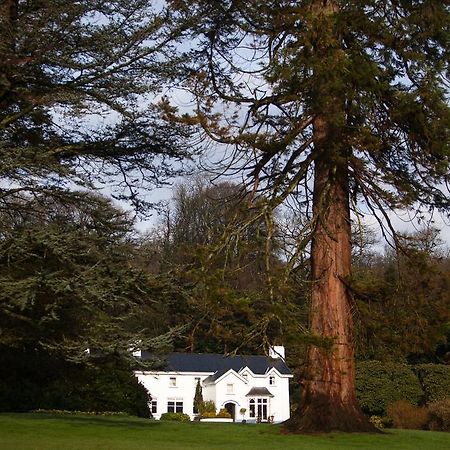 Ynyshir Restaurant And Rooms Machynlleth Kültér fotó