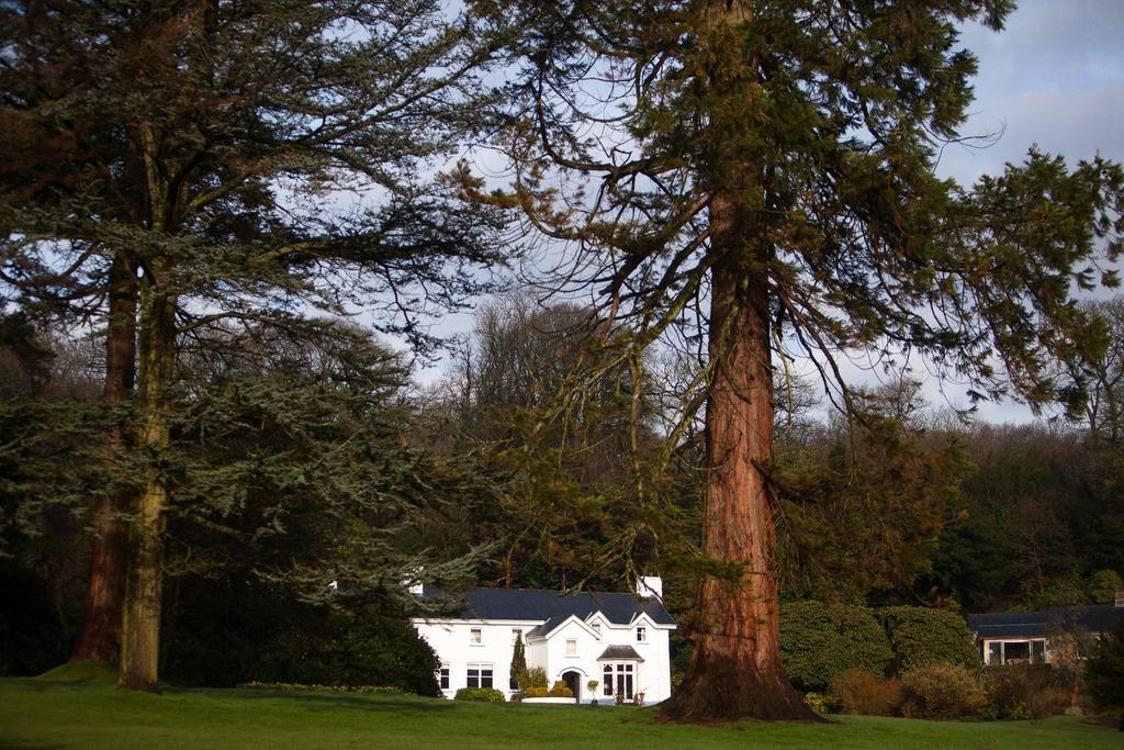Ynyshir Restaurant And Rooms Machynlleth Kültér fotó